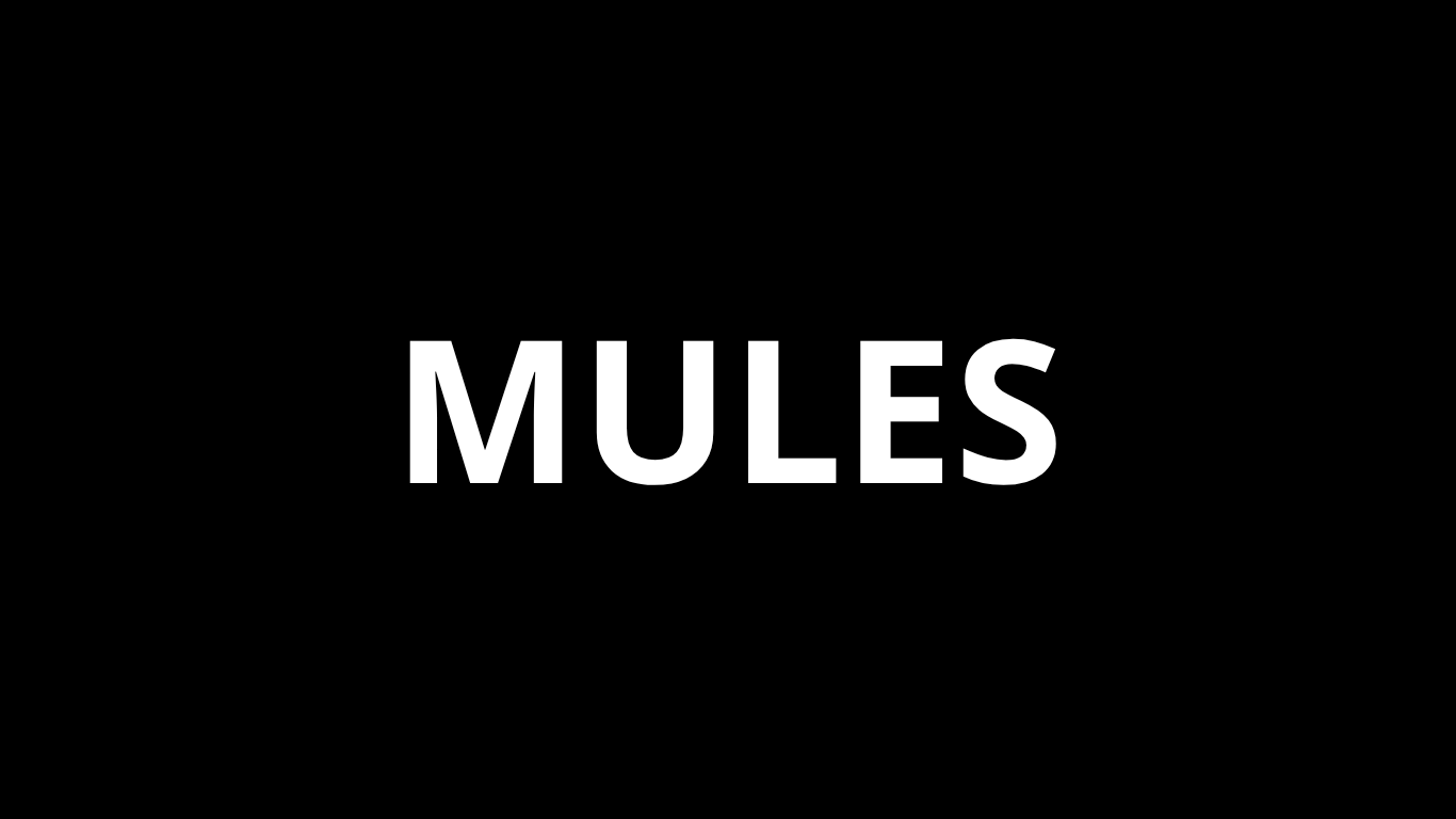 Mules