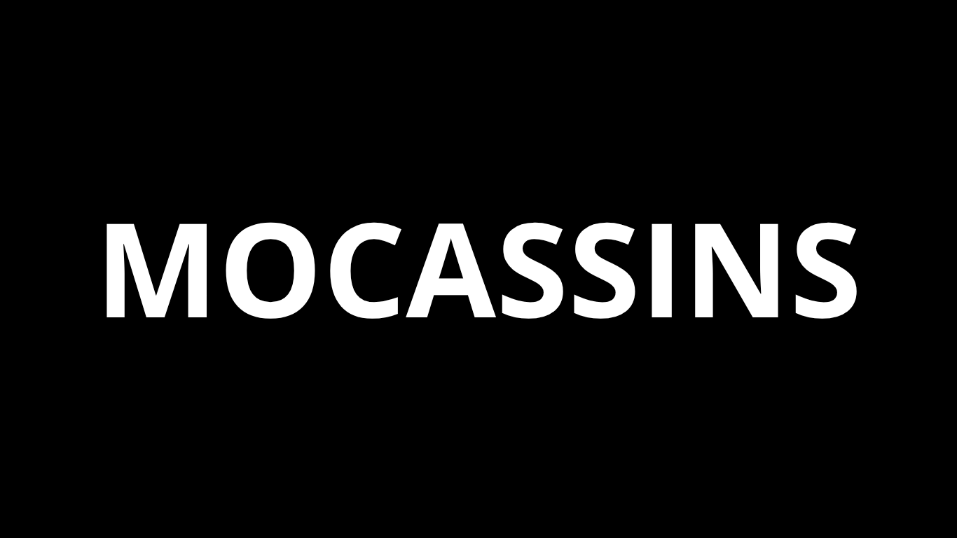 Mocassins
