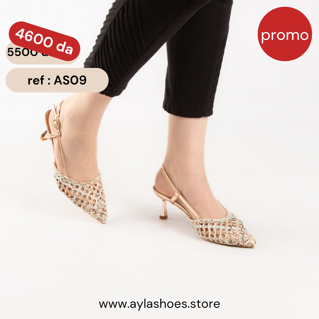 Escarpin à talon aiguille - brown / ref : AS09